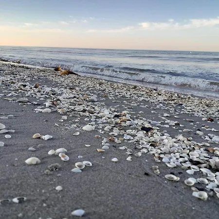 度假居 14 Person In Sæby