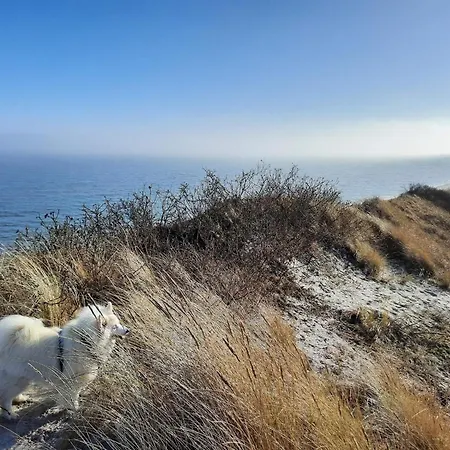 度假居 14 Person In Sæby